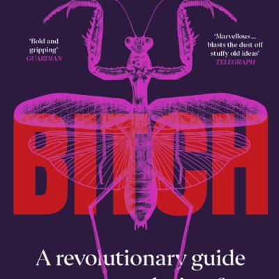 B*TCH – an evolutionary, revolutionary cabaret